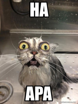apa