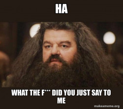 Hagrid - I should not have said that