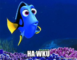 Dory from Nemo  (5 second memory)