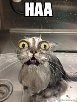 Ha? 
