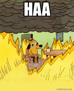 This Is Fine