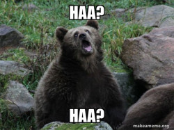 Sarcastic Bear