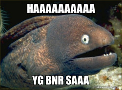 Bad Joke Eel