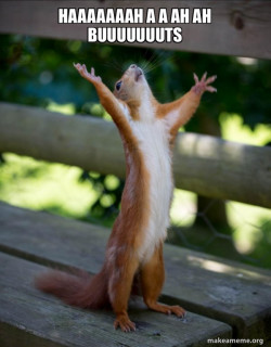 Happy Squirrel