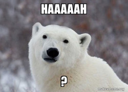 Popular Opinion Polar Bear
