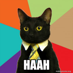 Business Cat