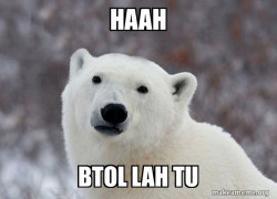 Popular Opinion Polar Bear
