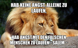 Confession Lion