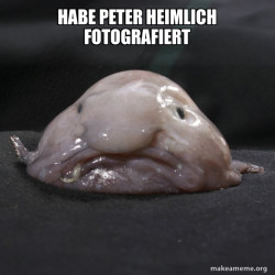 Blobfish