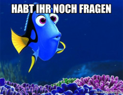 Dory from Nemo  (5 second memory)