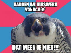 Millennial Falcon