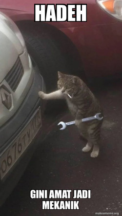 Mechanic Cat