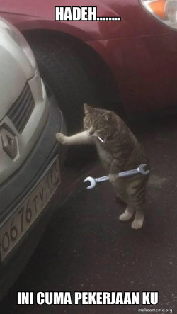 Mechanic Cat
