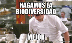 Gordon Ramsay Hell's Kitchen