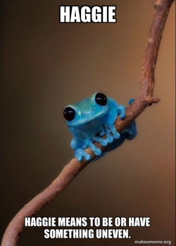 Small Fact Frog