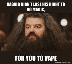 Hagrid - I should not have said that