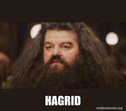 Hagrid - I should not have said that