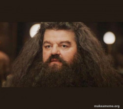 Hagrid - geef deze gast een top