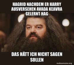 Hagrid - I should not have said that