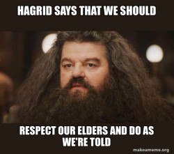 Hagrid - I should not have said that
