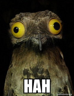 Weird Stuff I do Potoo