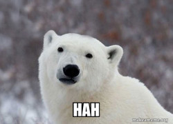 Popular Opinion Polar Bear