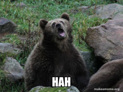 Sarcastic Bear