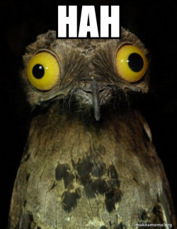Weird Stuff I do Potoo