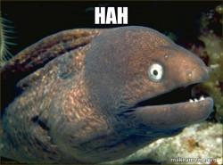 Bad Joke Eel