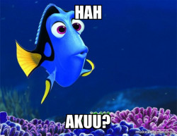 Dory from Nemo  (5 second memory)