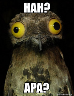 Weird Stuff I do Potoo