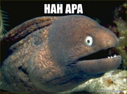 Bad Joke Eel