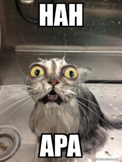 Cat bath