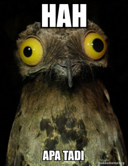 Weird Stuff I do Potoo