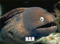 Bad Joke Eel