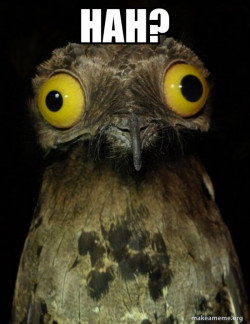Weird Stuff I do Potoo