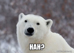 Popular Opinion Polar Bear