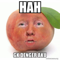 Impeached Donald Trump