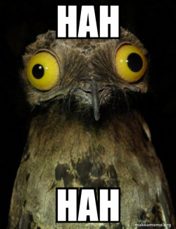 Weird Stuff I do Potoo
