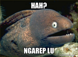 Bad Joke Eel