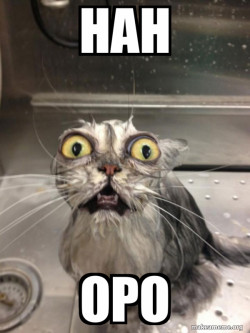 Cat bath