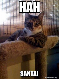 The Most Interesting Cat in the World