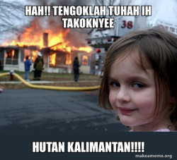 Disaster Girl 