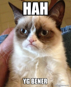 Grumpy Cat