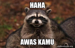 Evil Plotting Raccoon