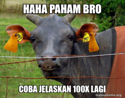 Hairless Cow