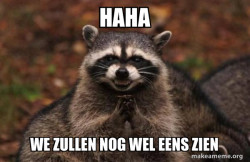 Evil Plotting Raccoon