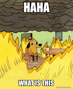 This Is Fine