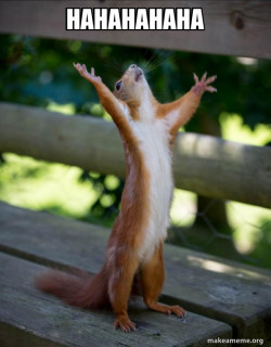 Happy Squirrel