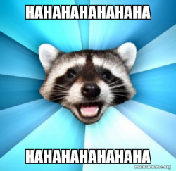 Lame Pun Coon